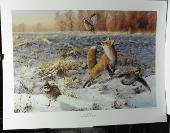 Covey Cover,Fox and Quail Signed,Numbered Print,242/3200