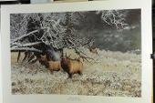 "Morning Sage Elk" Print by Christopher B. Walden, Signed & Numbered 1670/5200