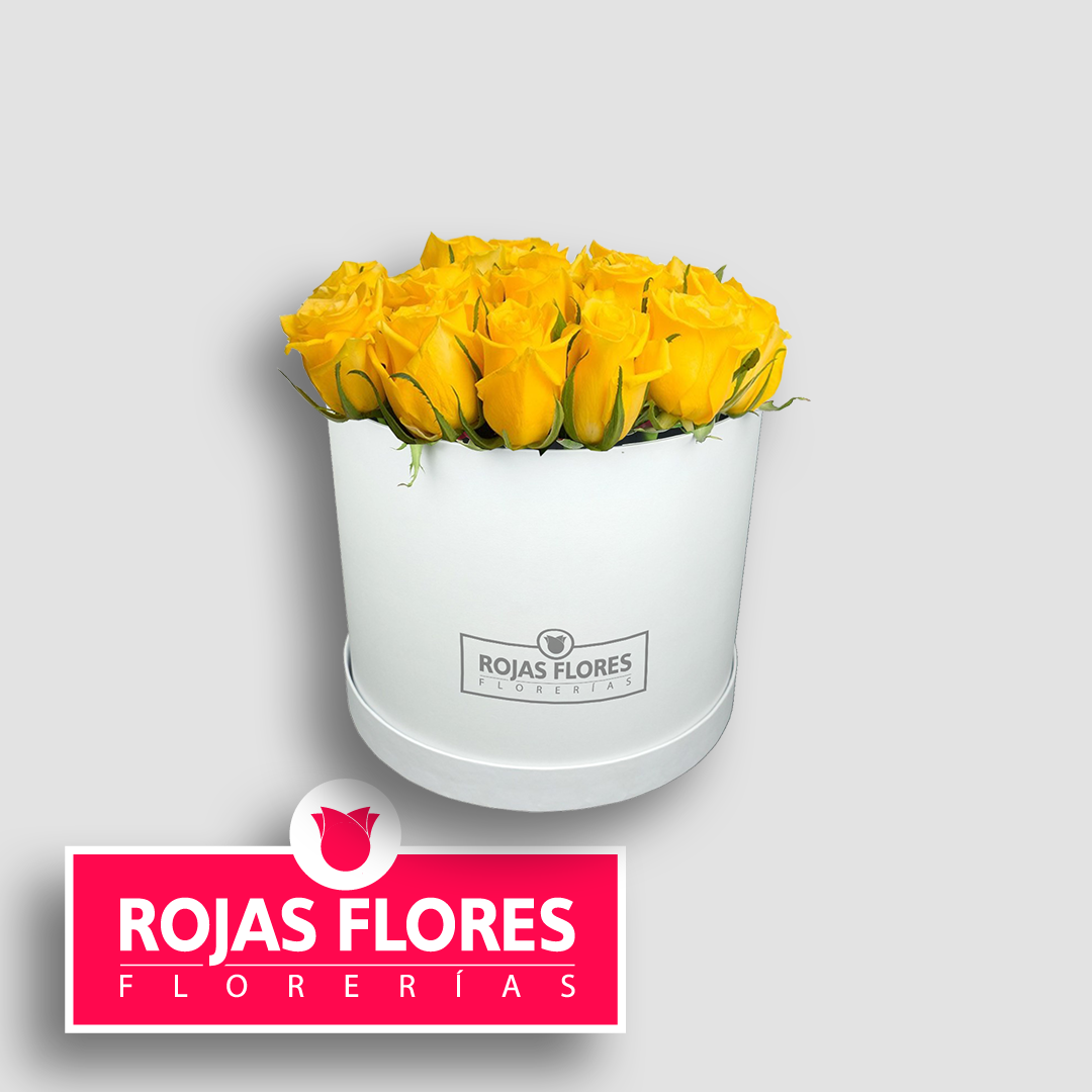 Caja cilíndrica de 24 rosas