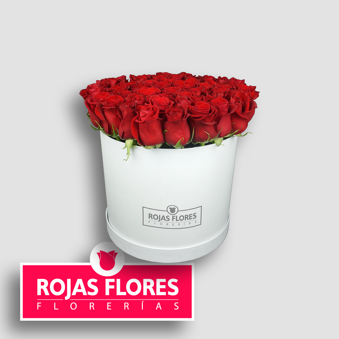 Caja cilíndrica de 24 rosas