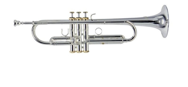B-WARE
ROY BENSON
CHARLI GREEN SIGNATURE B-WARE
ROY BENSON
CHARLI GREEN SIGNATURE