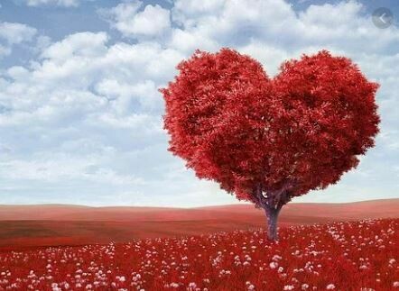 Heart Centered Meditation