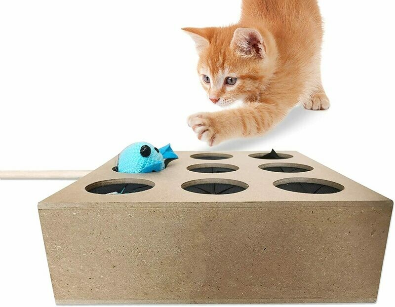 Jouet pour chat, livraison à domicile sous 5 jours