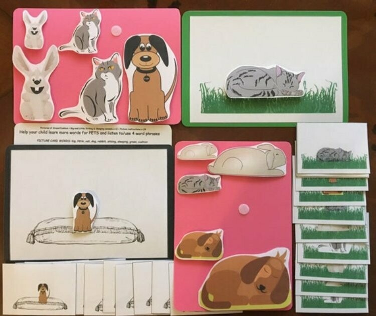 Big and Little Pets 4WL Picture Pack