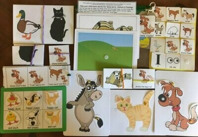 Winnie Wagtail Bumper 3 Word Level Picture Pack (no book)