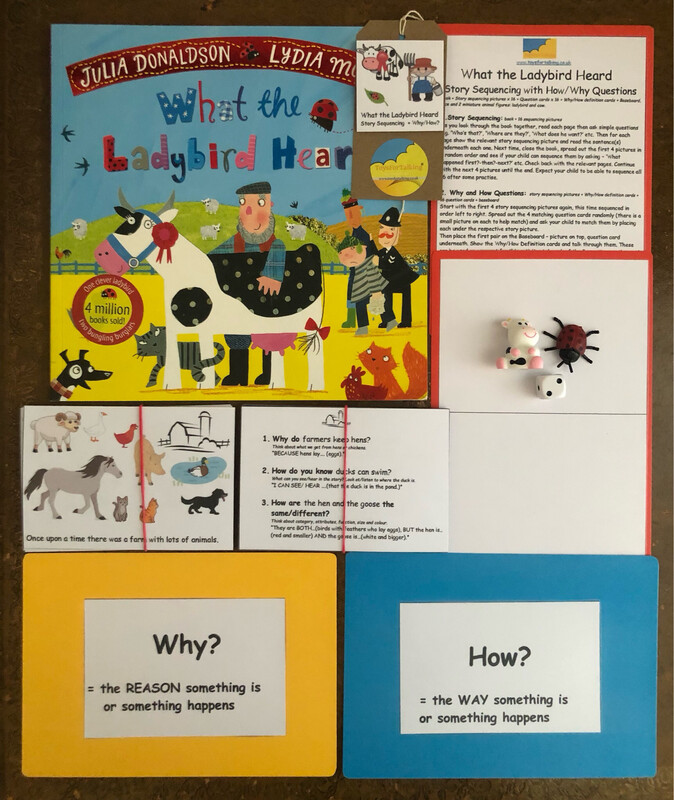 What The Ladybird Heard Story Sequencing with Why/How Questions