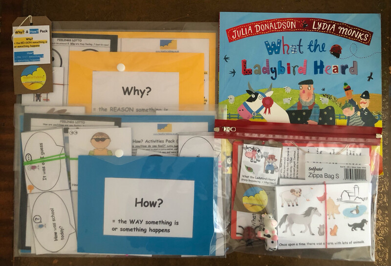 What The Ladybird Heard Why/How Bumper Pack