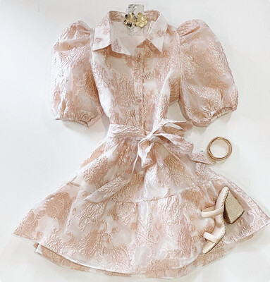 Chelsea’s Brocade Shimmer Dress (Blush)