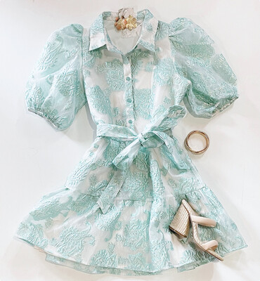 Chelsea’s Brocade Shimmer Dress (Mint)