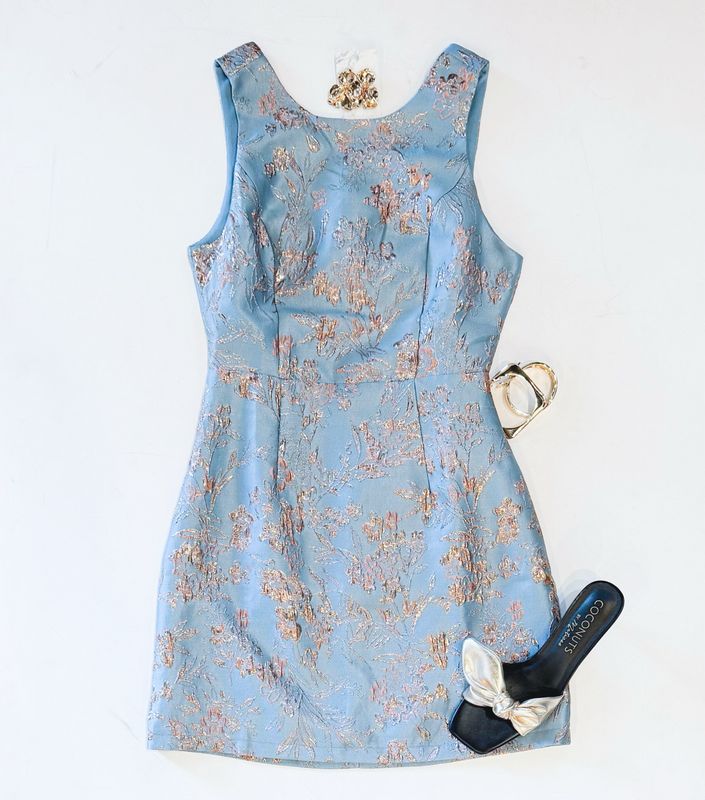 So Fancy Brocade Dress