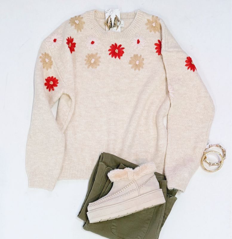 Living Color Oatmeal Sweater