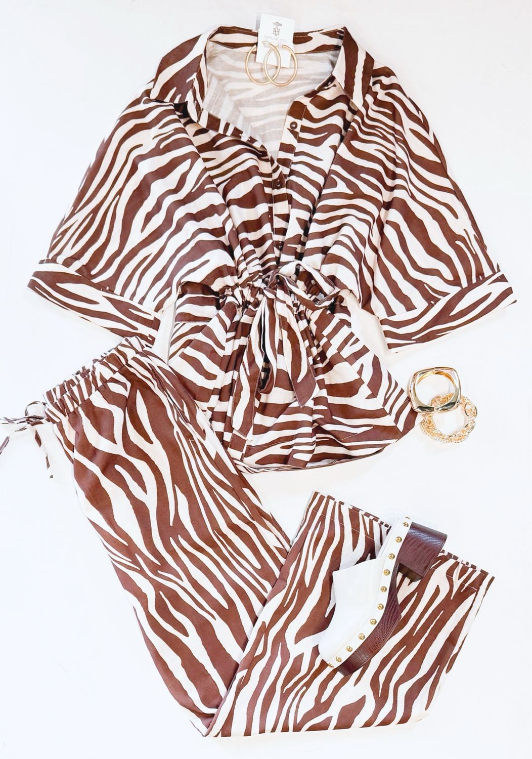 In The Wild Zebra Set