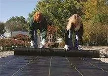 Dewitt Pro5 Weed Control - 3 ft. wide