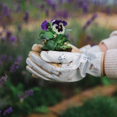 Gloves - Wrendale Gardening Gloves - Women's Medium