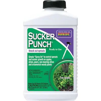 Bonide Sucker Punch 8 oz. concentrate