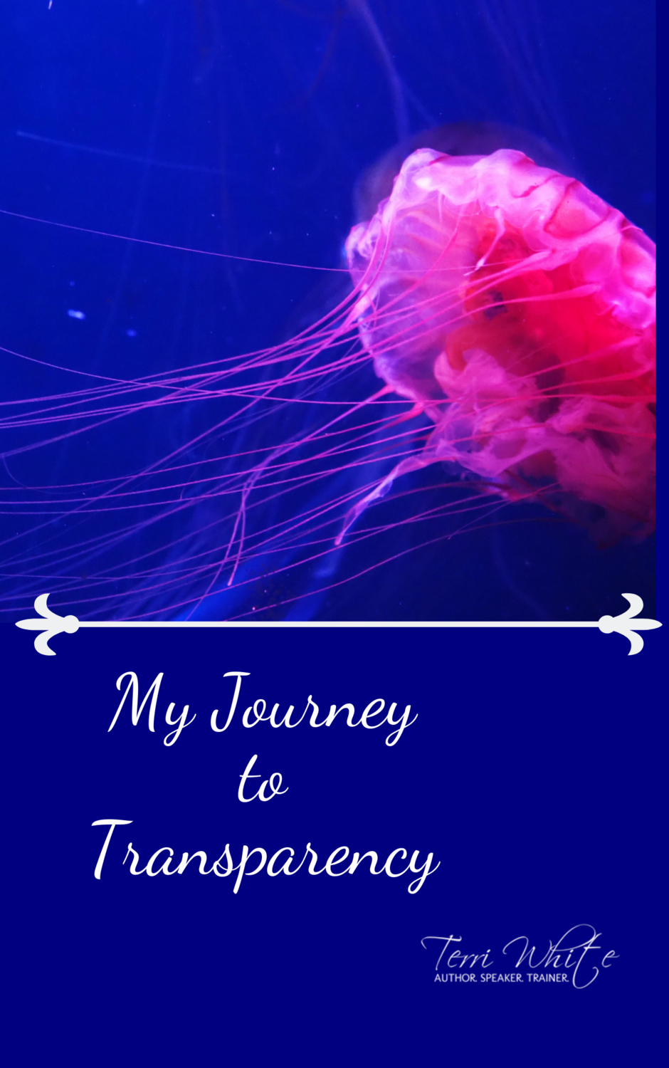 Transparency Journal Transparency Journal