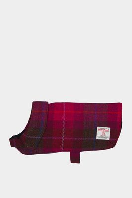 Harris Tweed Cosy Dog Coat | A031 Prices From
