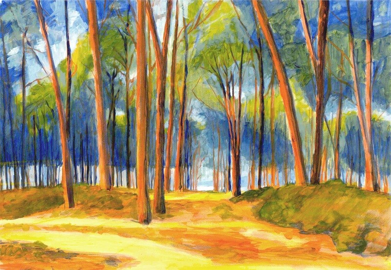Sardenia Bay Pine Forest