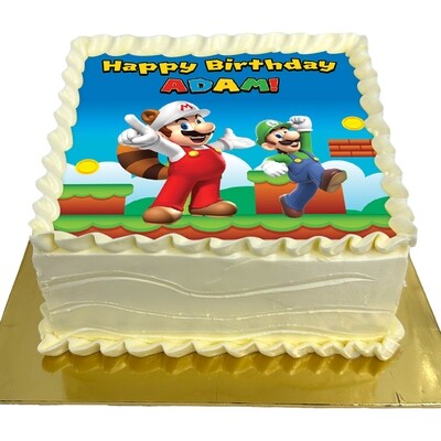 JSQ11 Mario & Luigi