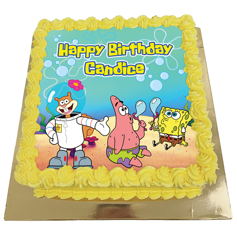 JSQ18 Sponge Birthday