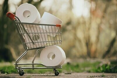 Business in a Box: Toilet Paper Manufacturing Business in a Box: Toilet Paper Manufacturing