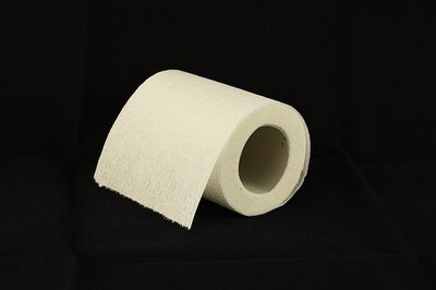 How to Start a Toilet Paper Manufacturing Company How to Start a Toilet Paper Manufacturing Company