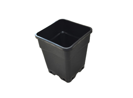 Pot 11L