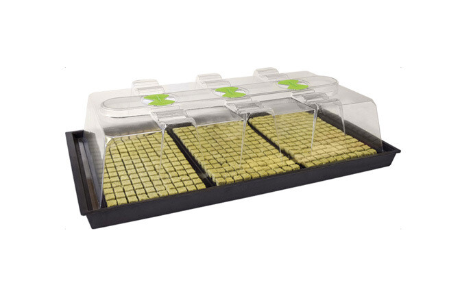 X-Stream Heat Propagator Large