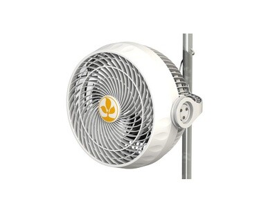Monkey Fan 30W BallBearing