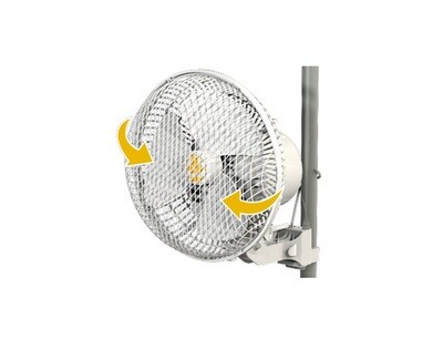 Monkey Fan 20W oscillant BallBearing