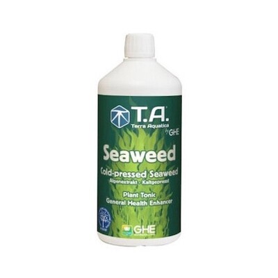 T.A. Seaweed