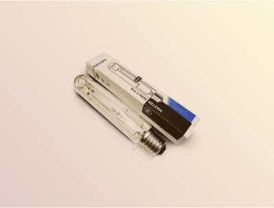 Ampoules