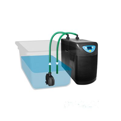 IRRIGATION