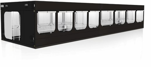 Secret Jardin Intense 600