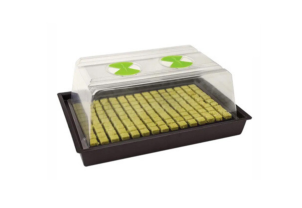 X-Stream Heat Propagator Small | Huboma