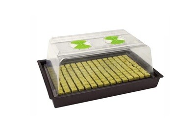 X-Stream Heat Propagator Small | Huboma