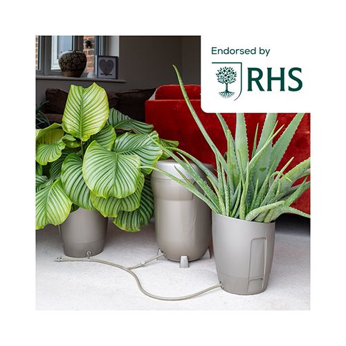 Autopot Khloris System Sage