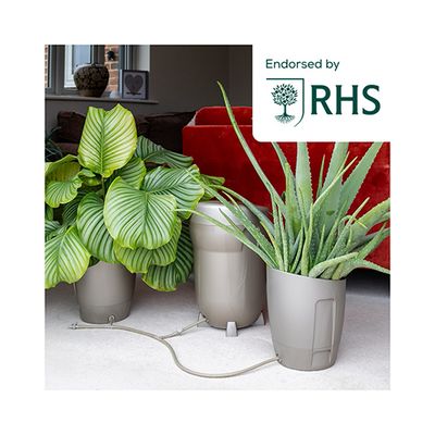 Autopot Khloris System Sage