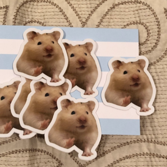 hamster online store