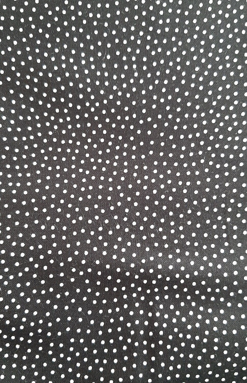BLACK WITH FRECKLE DOTS