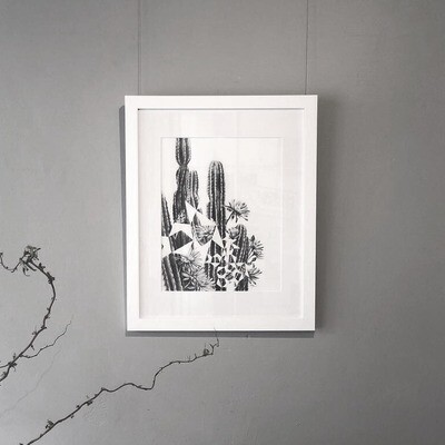 Cactus Pentigree - Framed Original Artwork
