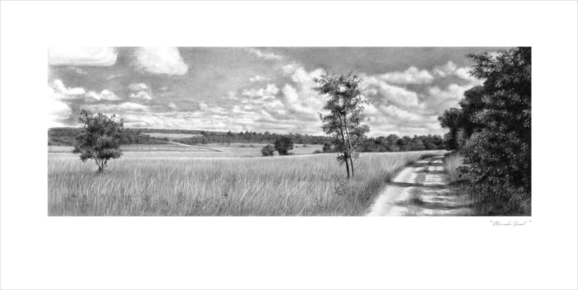 &quot;Miombo Road&quot;