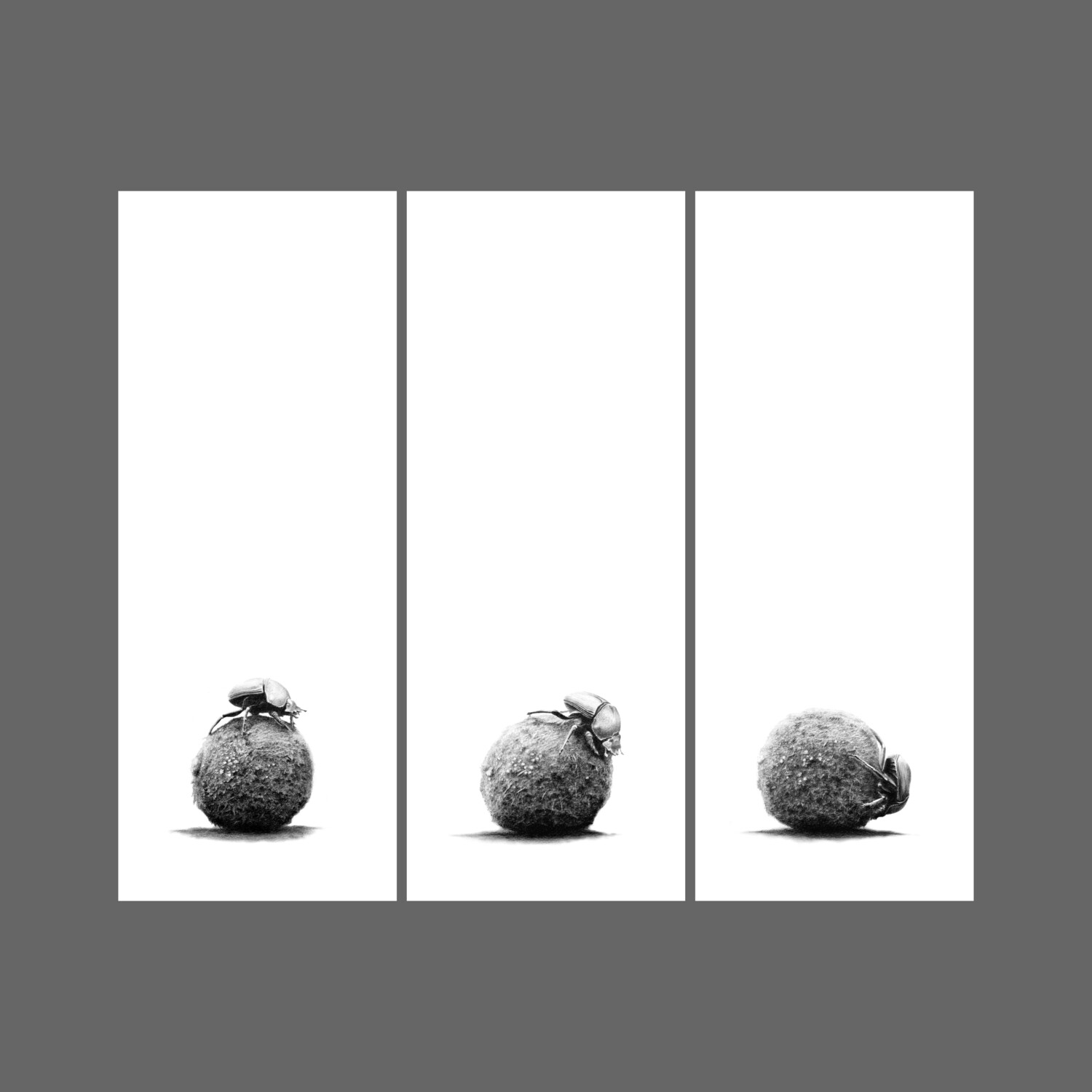"Roll With It" Set of 3 canvass prints 306mm x 780mm - Unframed
