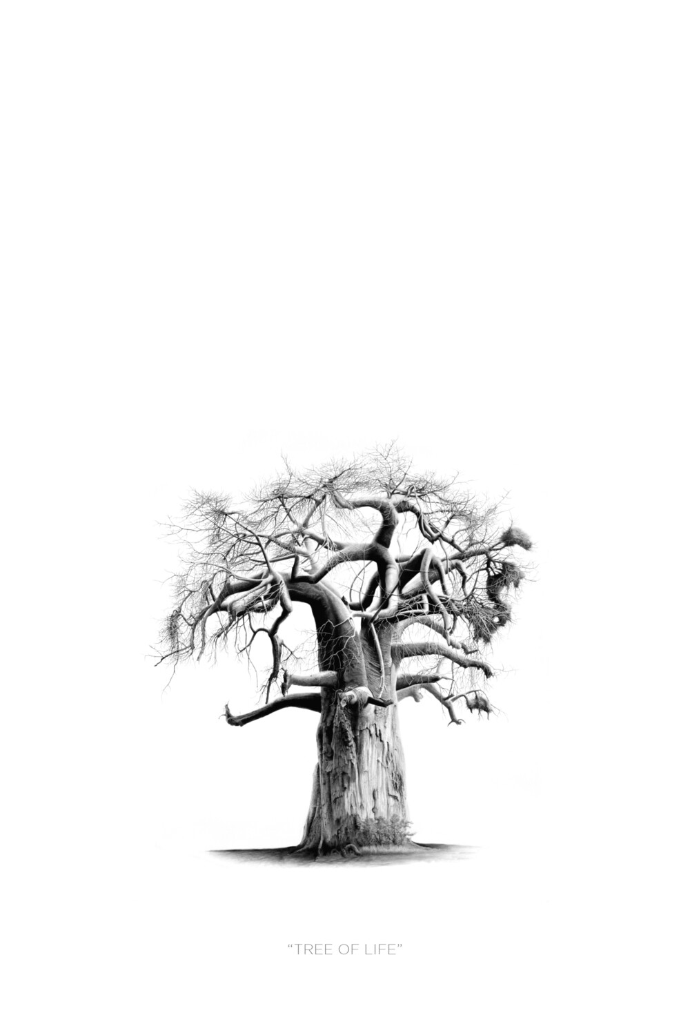 "Tree of Life"