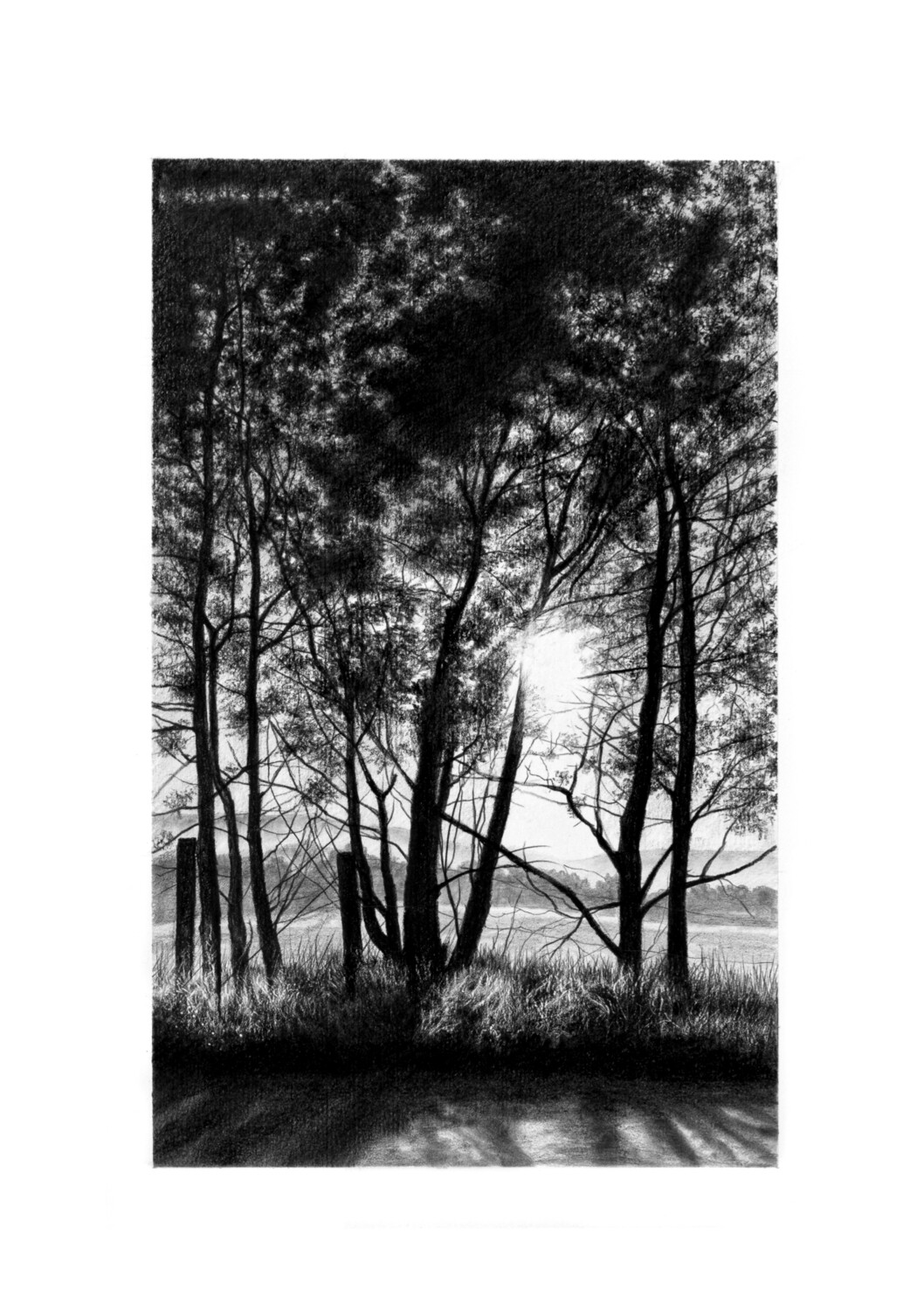 &quot;Dawn&#39;s Early Light&quot; - Original Pencil Art