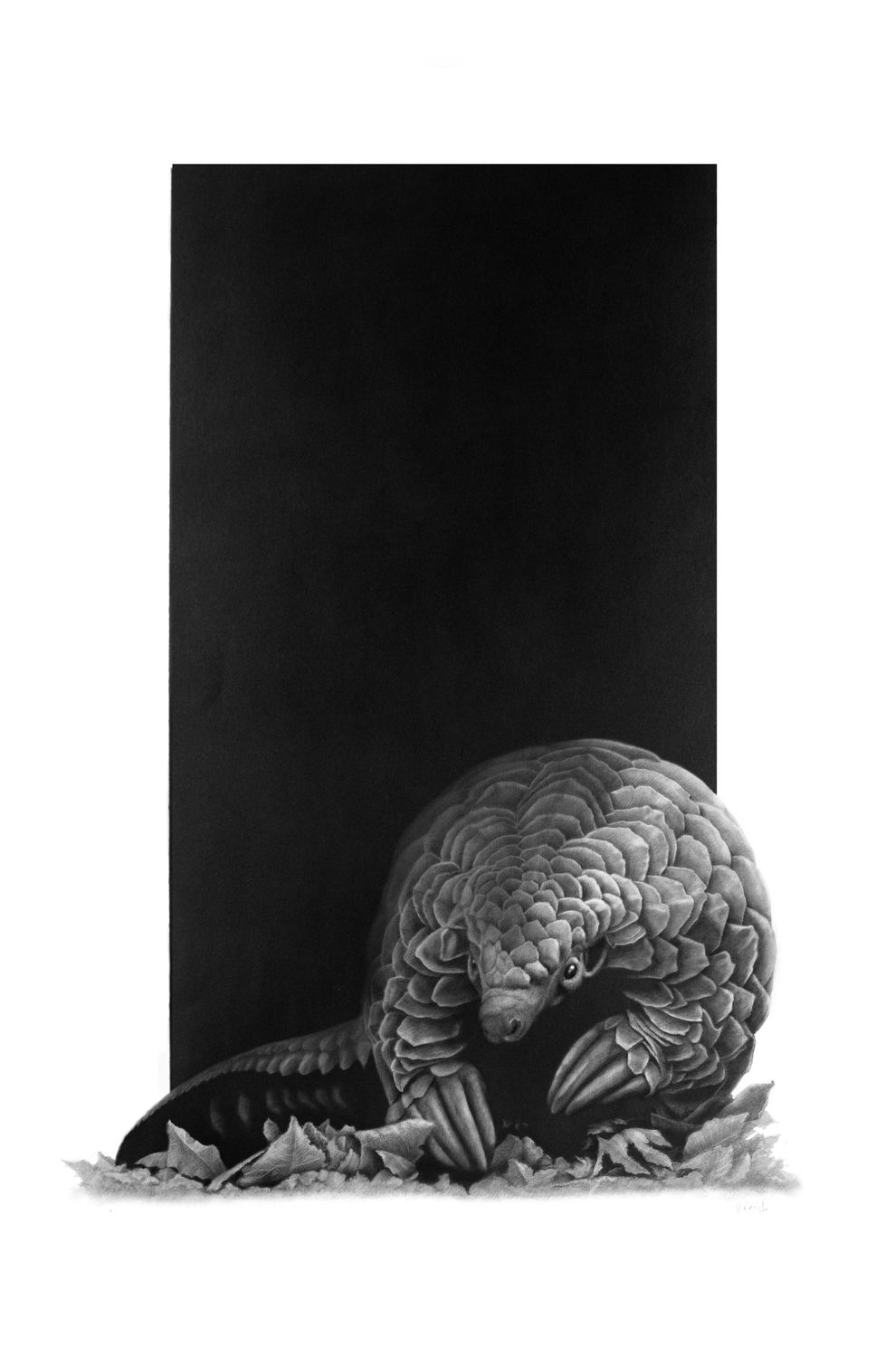 &quot;Spira Mirabilis&quot;