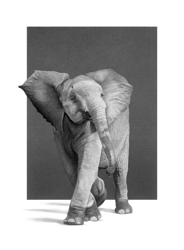 &quot;Little Diva&quot; - Original Pencil Art
