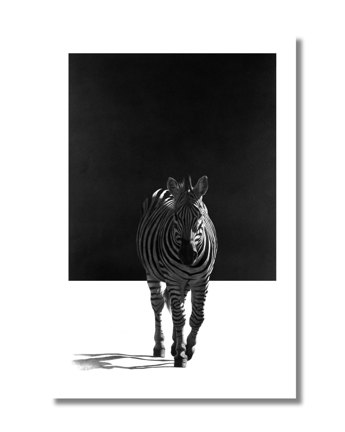 &quot;Zebra Crossing&quot; - Original Pencil Art