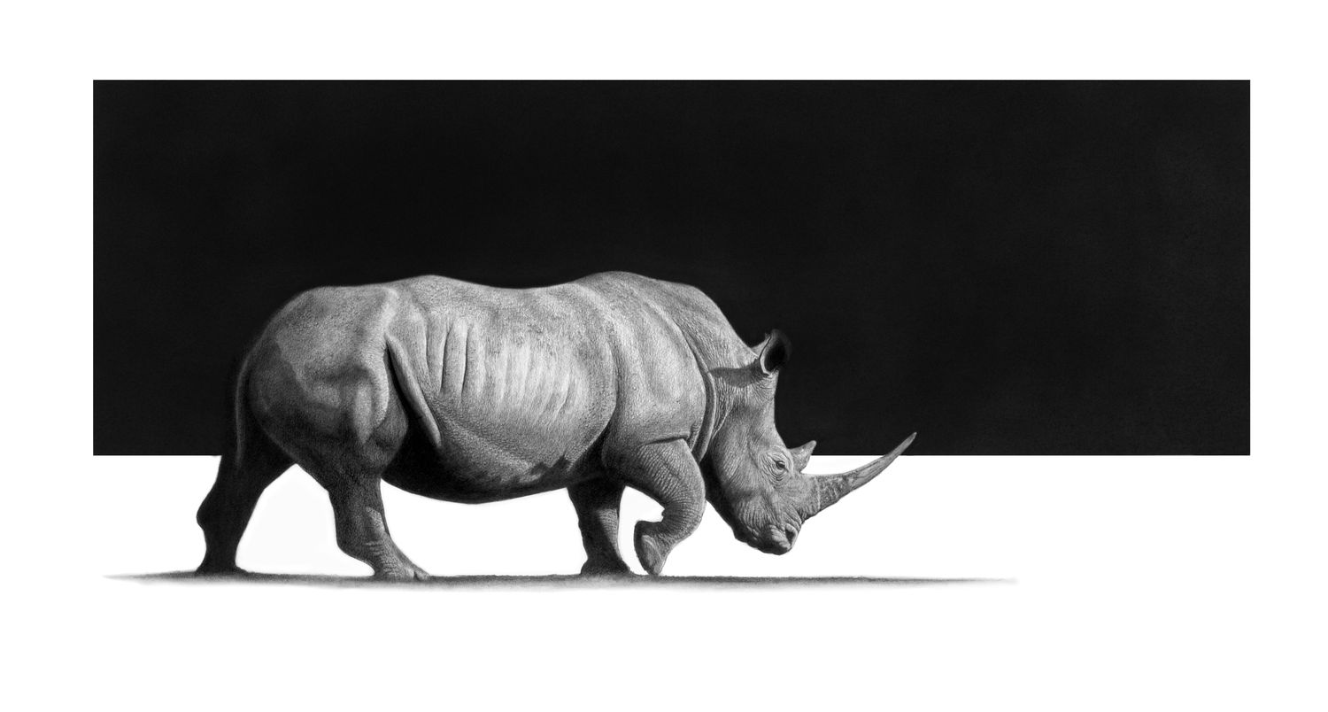 &quot;Phambili&quot; - (forward) - Original Pencil Art