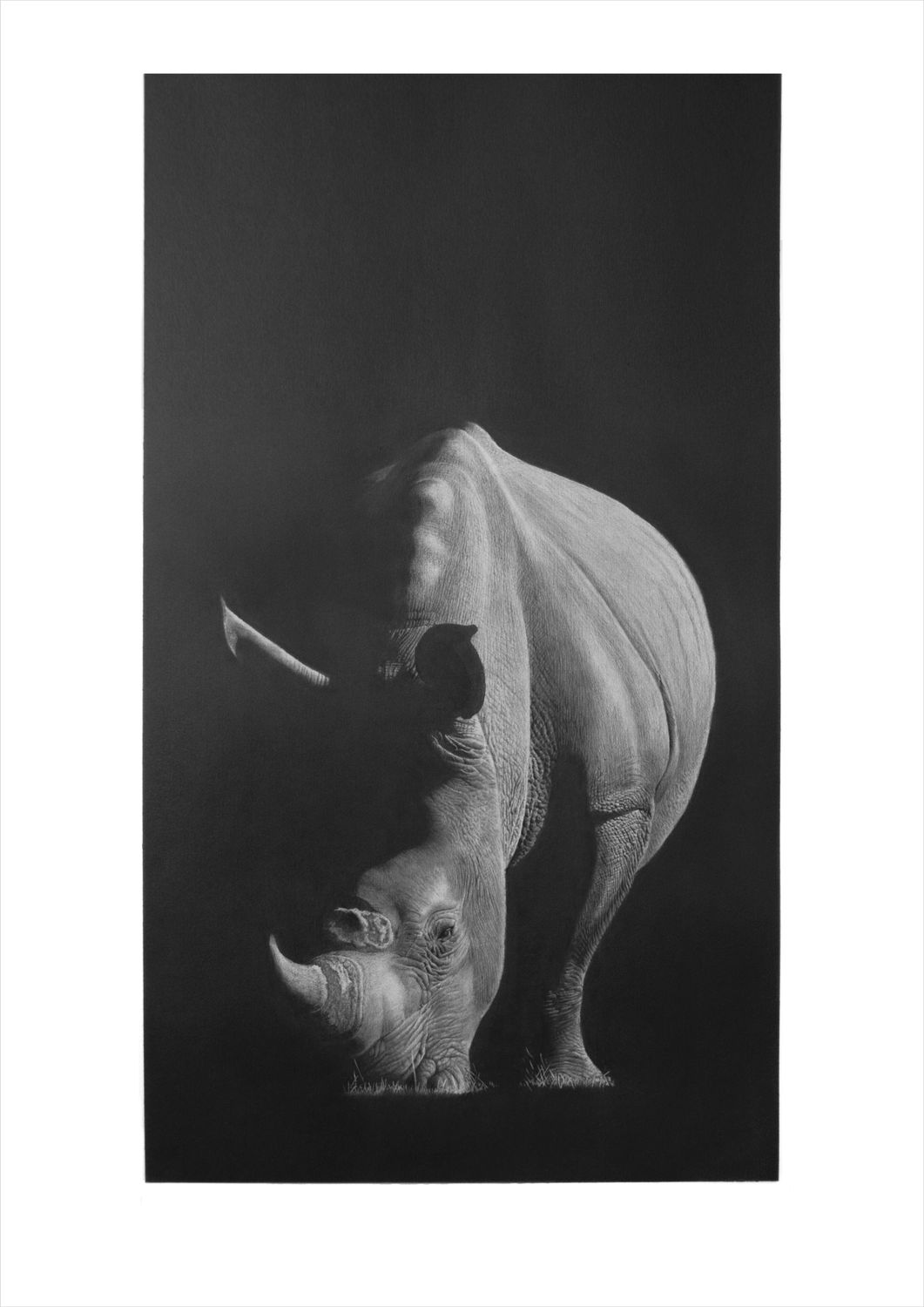 &quot;Scuro&quot;